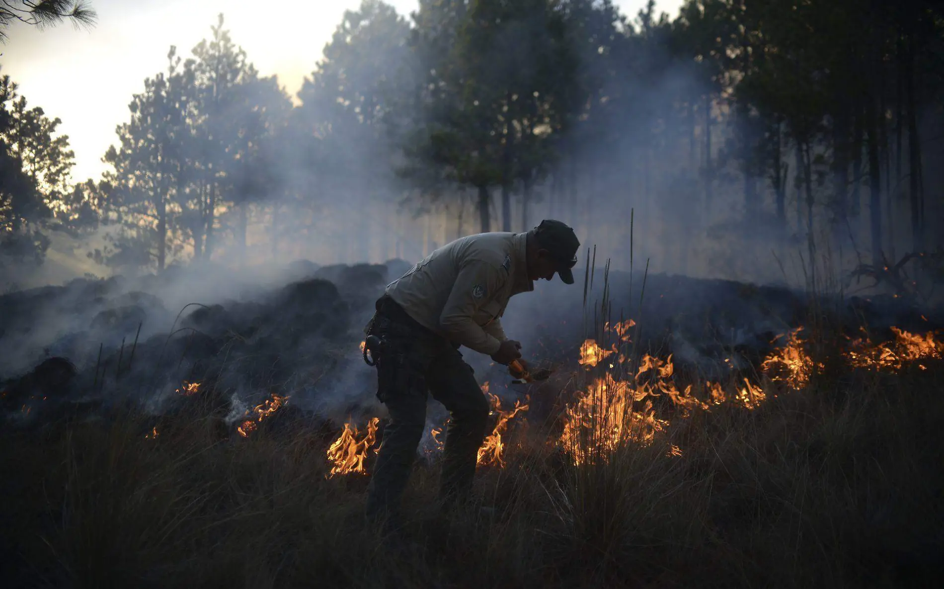 Incendios forestales en Veracruz